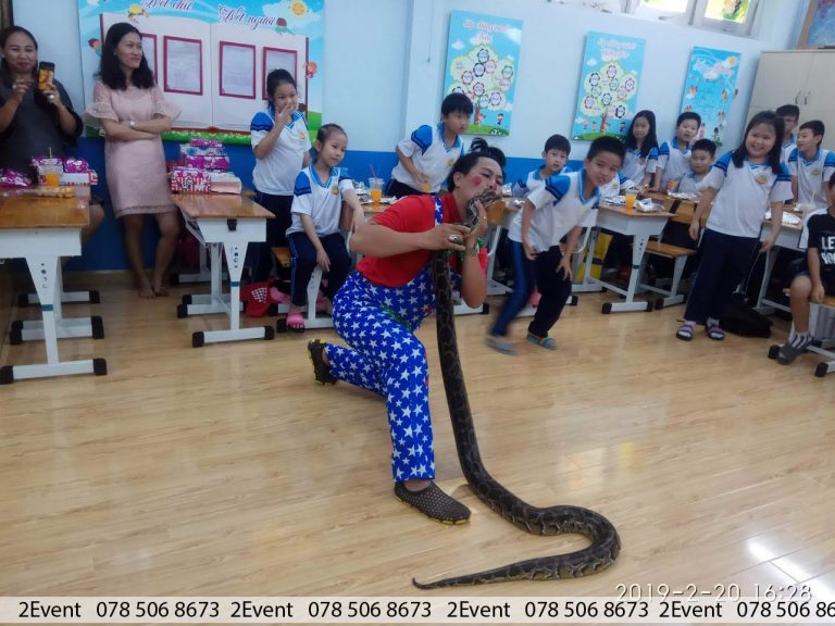 Ảo thuật gia vui nhộn